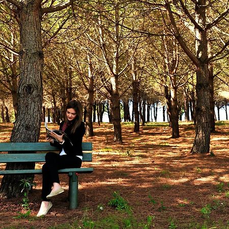Popilia Country Resort Πίτσο Εξωτερικό φωτογραφία
