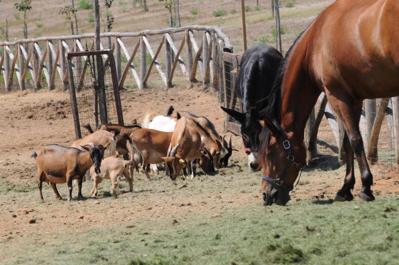 Popilia Country Resort Πίτσο Εξωτερικό φωτογραφία